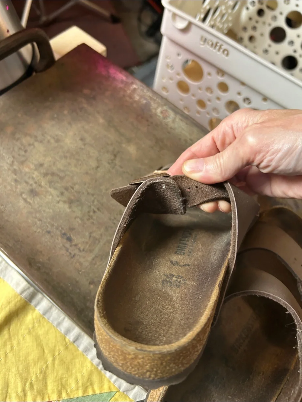 Birkenstocks Arizona with Brown Leather in Youth size 34